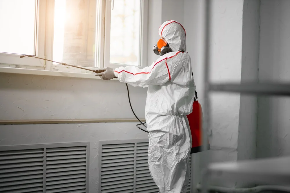 Professional mold remediation services in Pottsboro, TX